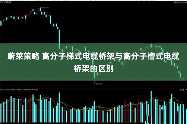 蔚莱策略 高分子梯式电缆桥架与高分子槽式电缆桥架的区别