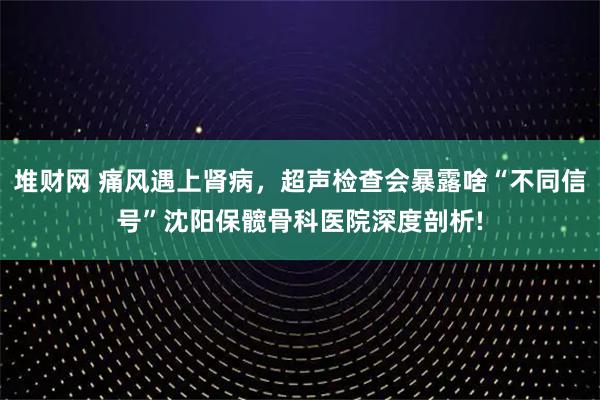 堆财网 痛风遇上肾病，超声检查会暴露啥“不同信号”沈阳保髋骨科医院深度剖析!